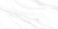 Керамическая плитка настенная Alma Ceramica Фреско / Fresco 249*500, TWU2550FRC07