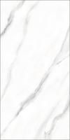 Керамогранит Eurotile Ceramica MADISON 60x120, 240 MDO1WT