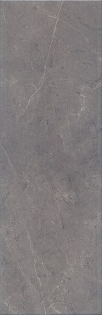 Плитка настенная Kerama Marazzi Низида 25х75 серый 12088R N