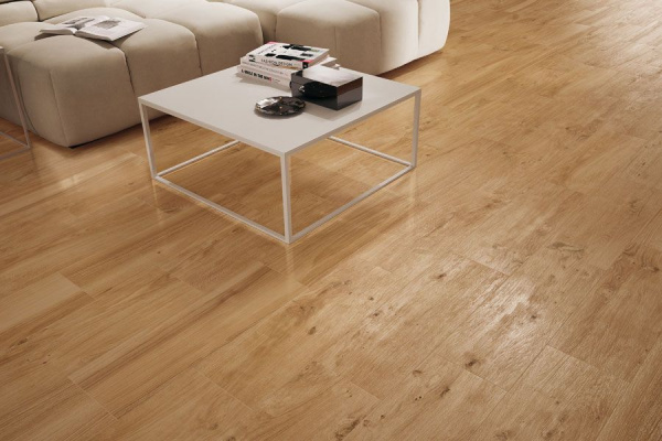 Керамогранит Atlas Concorde Frame Oak Rettificato 19,5х59х1